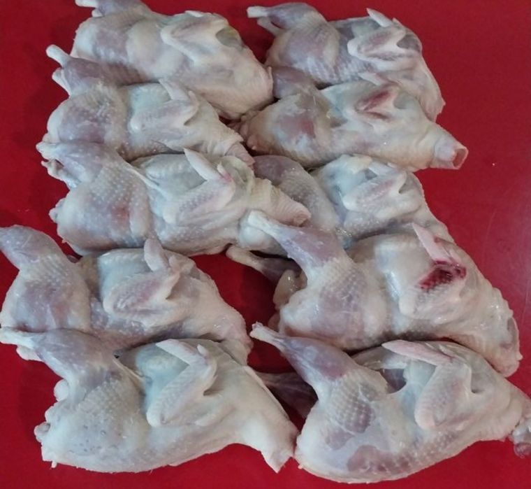 Продаются очень экологически чистые курочки,индюшки,индоутки,перепёлки