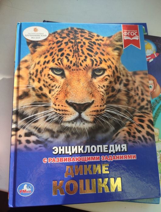 Новые детские книги.