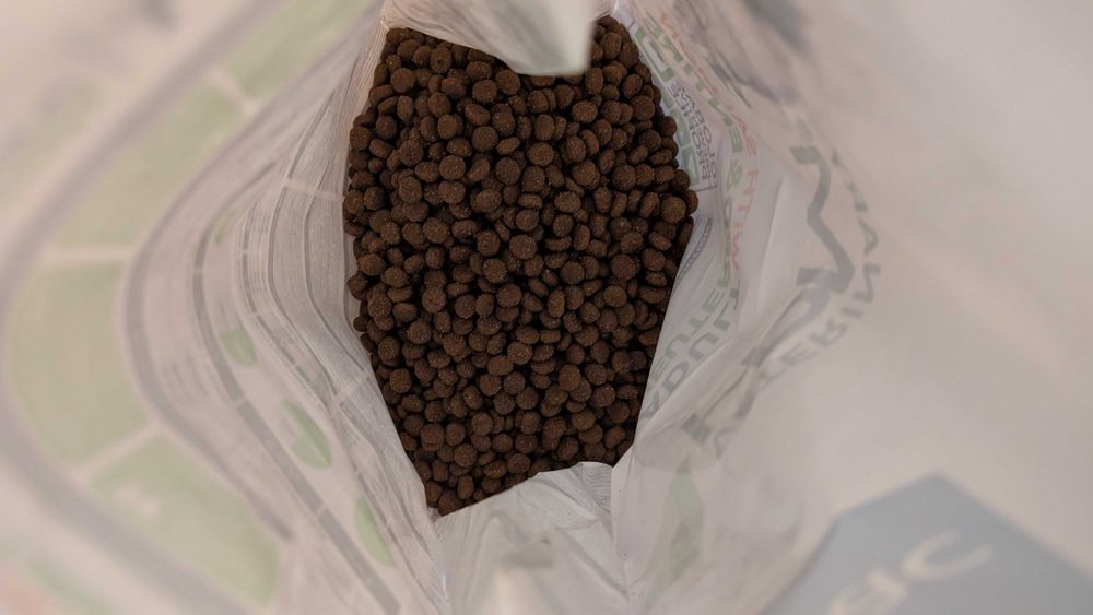 Hrană uscată pentru pisici adulte cu somon