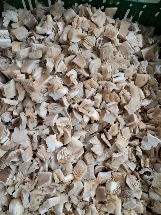 Ciuperci Pleurotus congelat cuburi