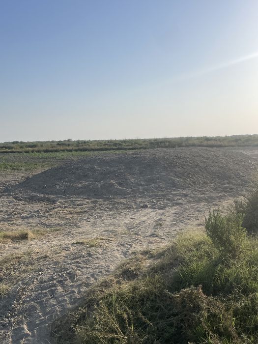 Makka silos  sotiladi tayyor orilgan bosib qoyilgan