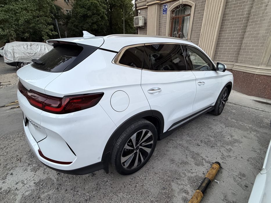 Byd champion 605