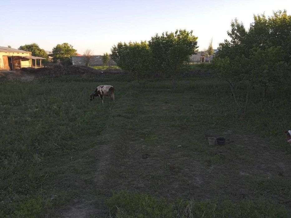 21 Sotixli hovli sotiladi