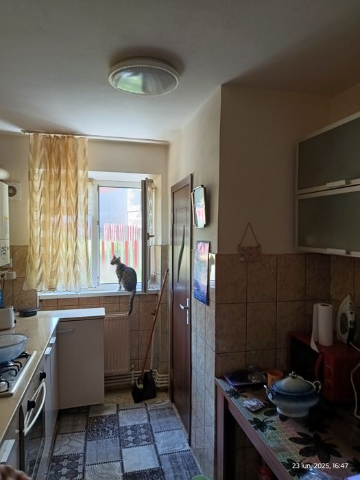 Apartament 3 camere parter Vulcan