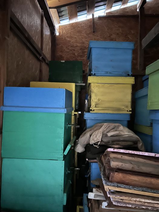 Lazi stupi si rame de cuib sau magazie