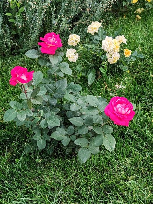 Продам дачу по красноярской трассе