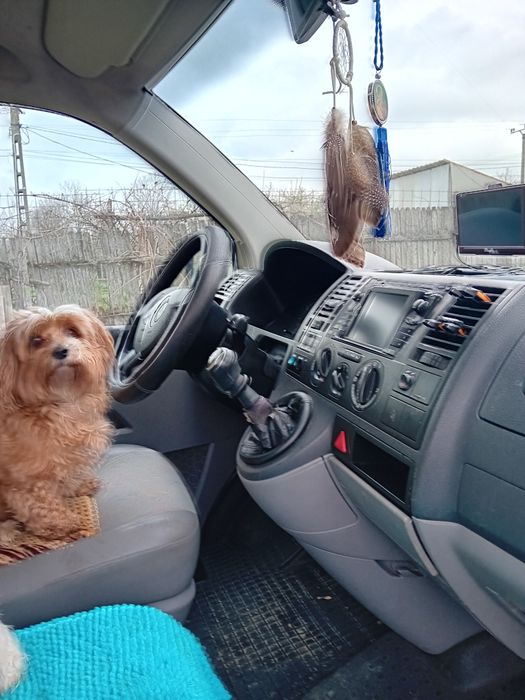 Vând transporter urgent 2,5 t5