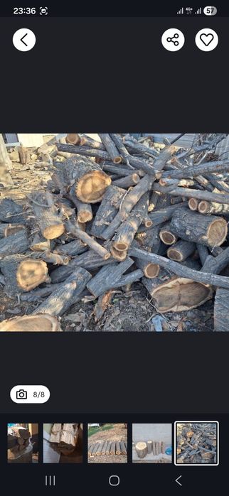 Продам дрова карагача и яблони