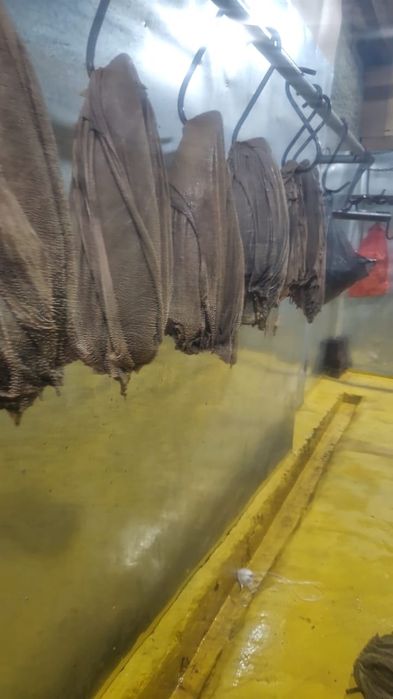 Говяжий книжки оптом