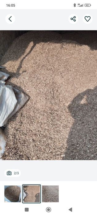 Apilkalari bor toza apilka chinor yongʻoq kotta qopi 22 mindan