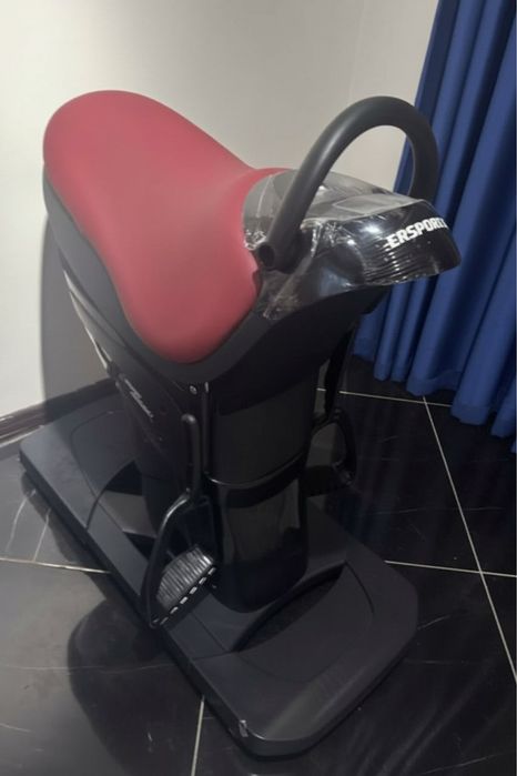 Райдер наездник тренажер  электронный ертокым