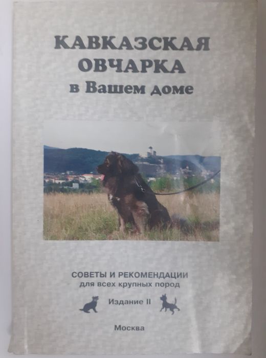 Кавказская  овчарка