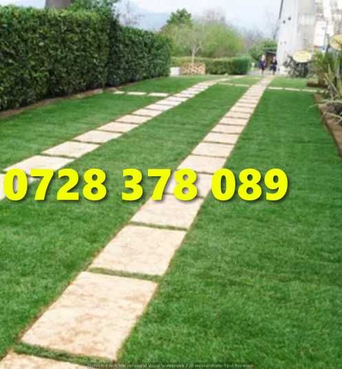 Gazon / Insamantare / Rulouri de Gazon