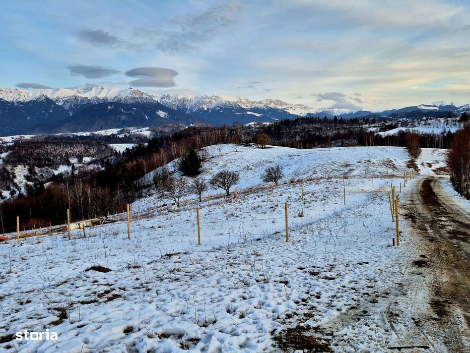 Teren Extravilan De Vânzare – Peștera, Moeciu- Investiție Cu Potențial