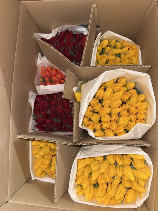 Пионы тюльпаны пионовидные