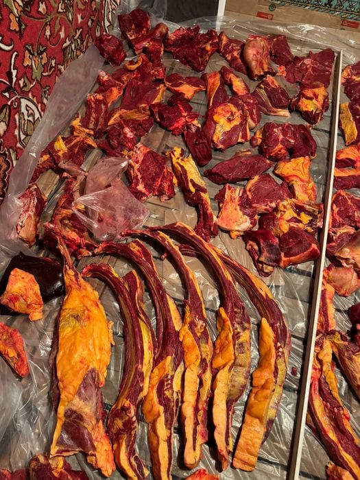 Продам конину быр сирак