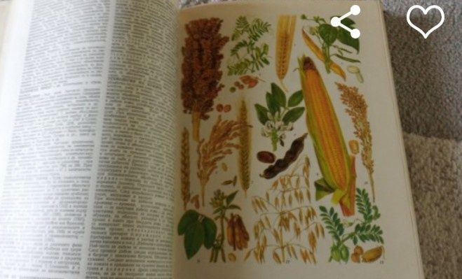 БГ енциклопедия - пълен комплект