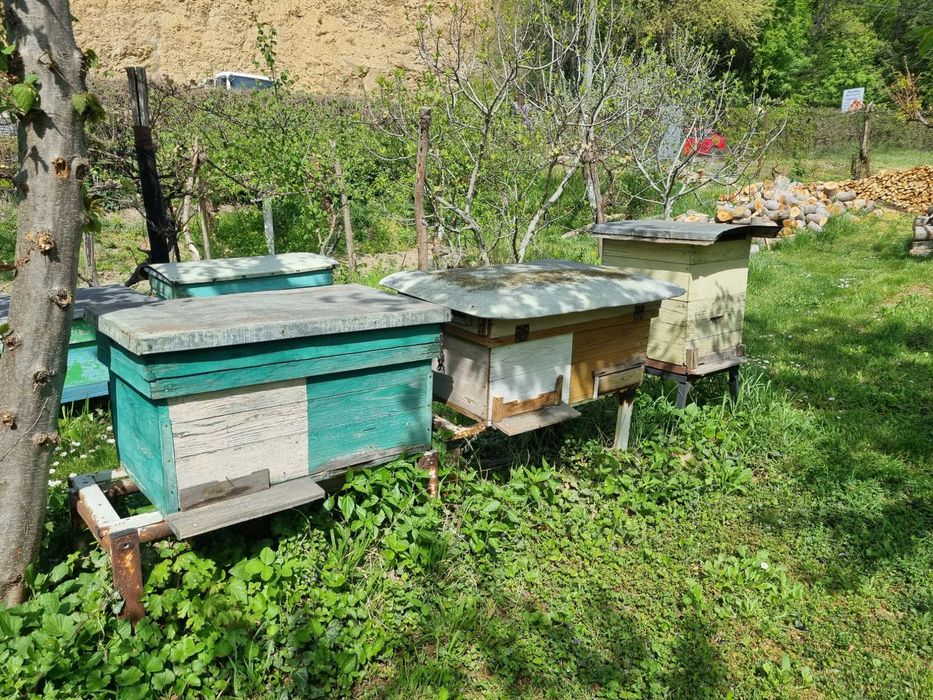 Vand cutii stupi albine