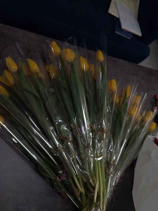 Тюльпаны самые лучшие в Актау