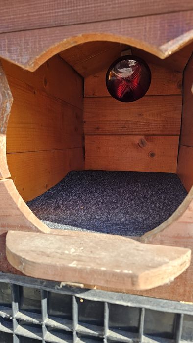 Cotet / Cuscă / Coteț izolat si incalzit pt Câine / Pisică