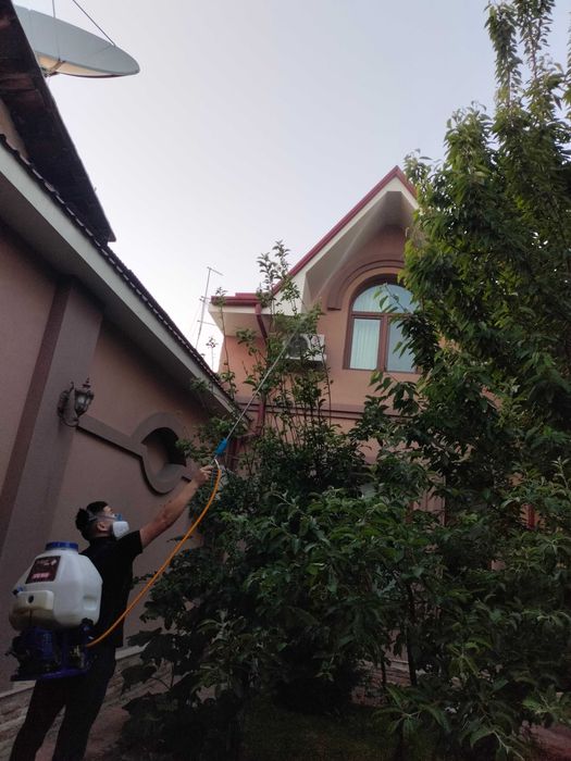 Обработка деревьев, растение Дезинфекция-Фумигация от вредителей и тля