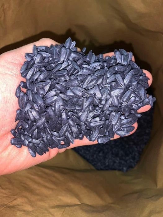 Продаём семена подсолнечника