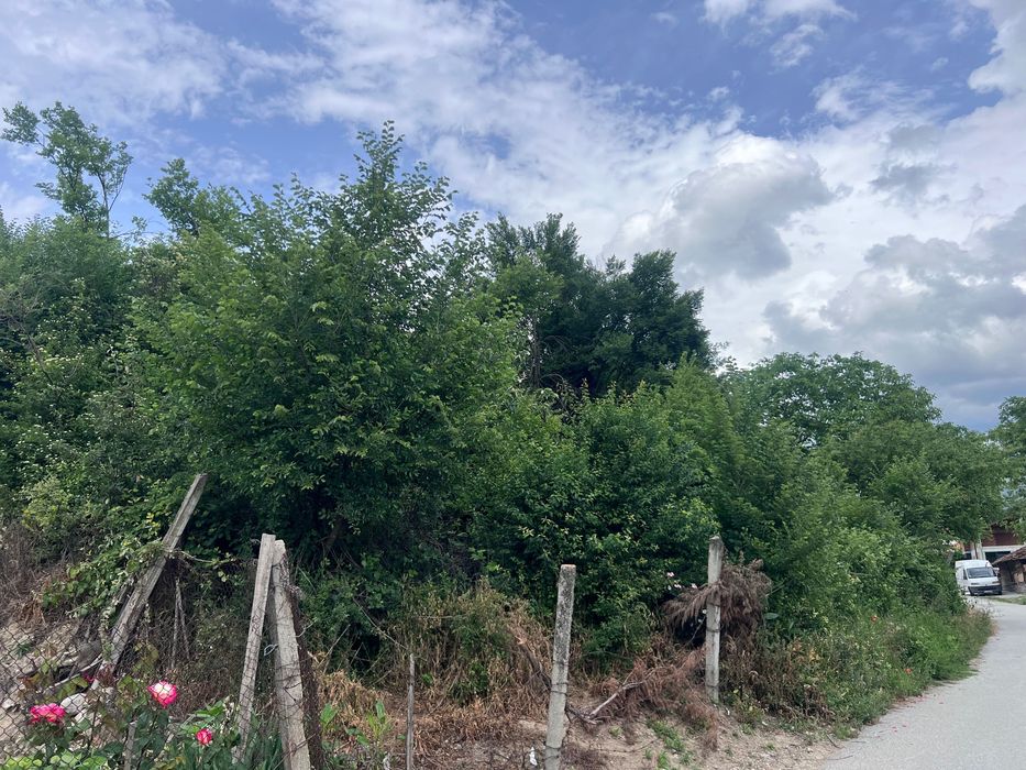 Продава се Парцел в с. Огняново, Област Благоевград - 600 кв.м за 68 €/кв.м - Снимка #5