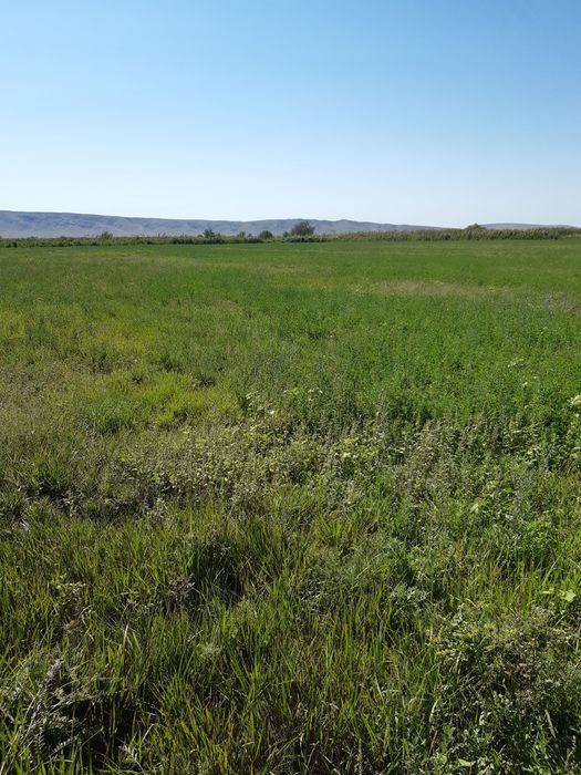 Земельный участок 2.4 га