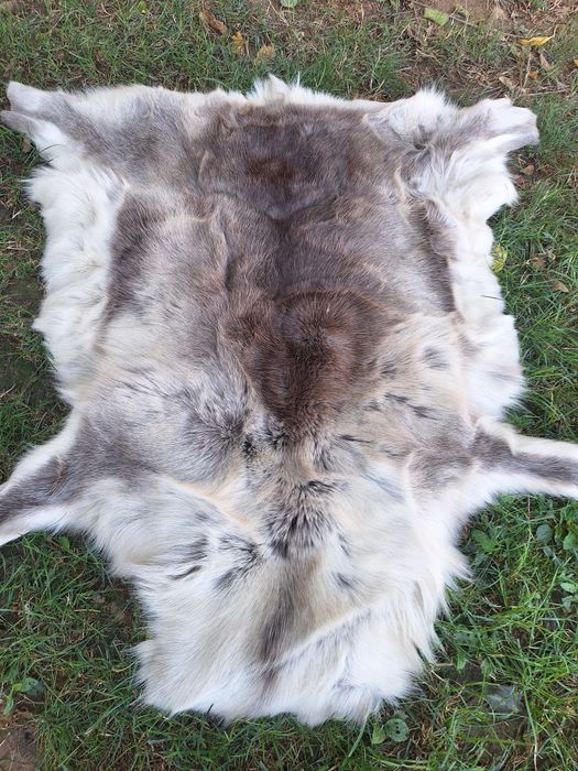 Vand piele naturala Ren