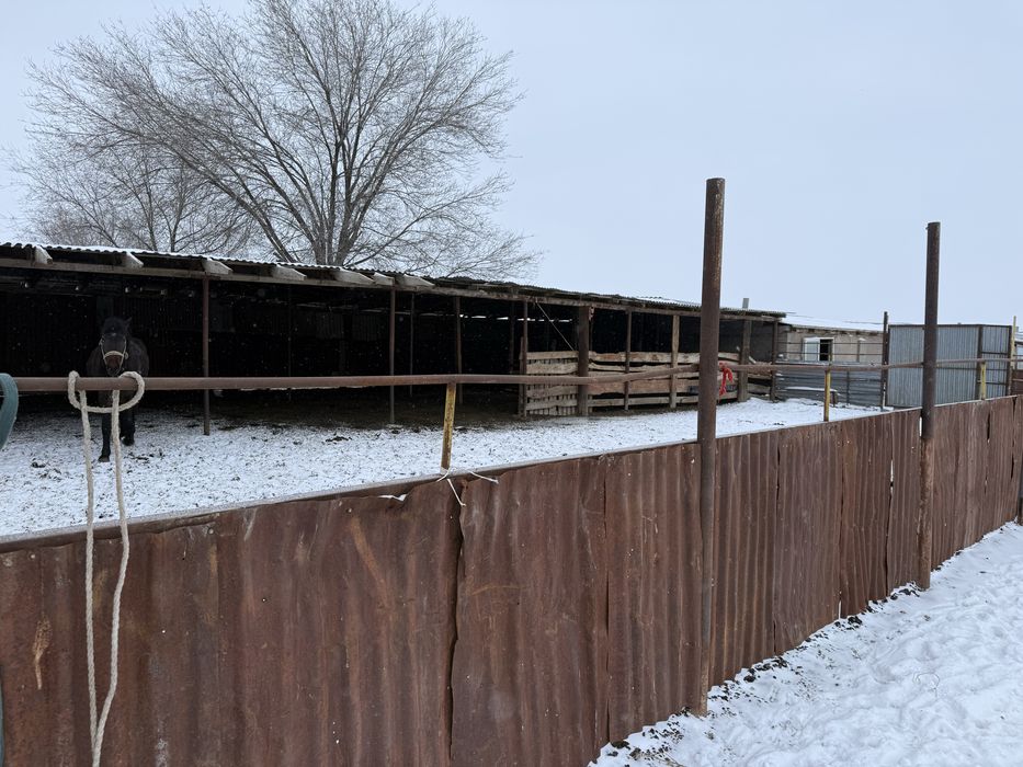 Продам ферму (фазенду)