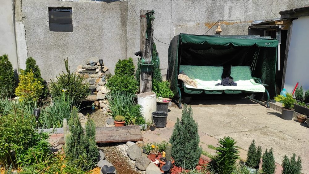 Foraje puturi Apa si curatari