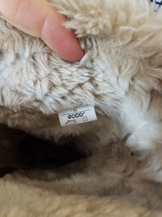 Bocanci de zapada