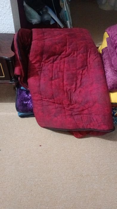 Курпа сотилади енги