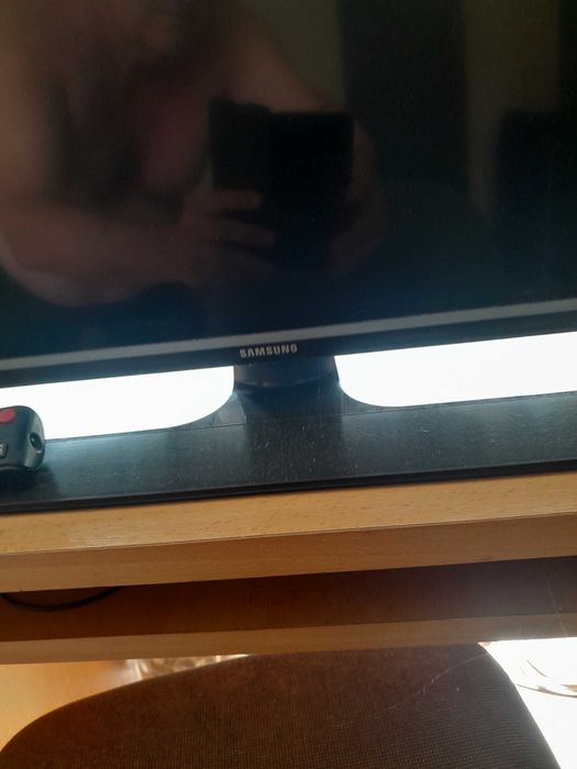 Asomator electric porcine si TvLed