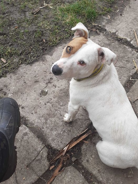 Търси се откраднато от гр костинброд