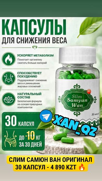 Оригинал Молекула Плюс инновационный органайзер