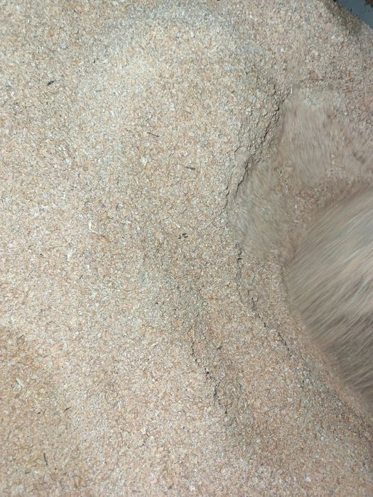 Kepak qozoq 20 kg 25 kg 80.000 sóm