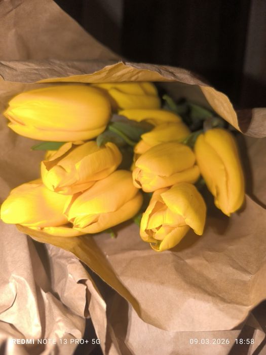 Тюльпаны оптом по 400