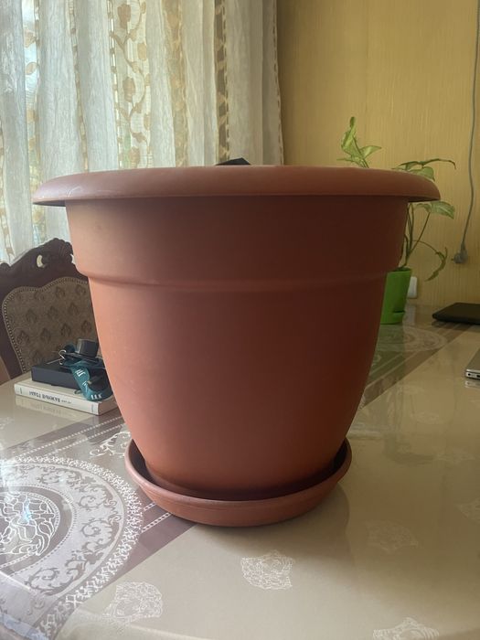 Кашпо для цветов