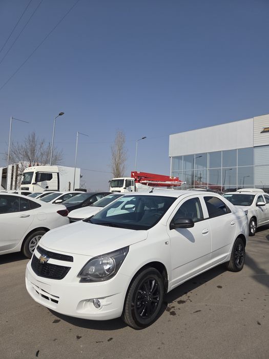 **Cobalt midnight msm 2026 new