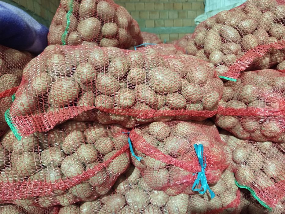 Cartofi de consum 50+