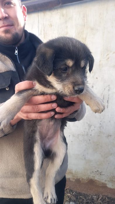 Красавчики малыши