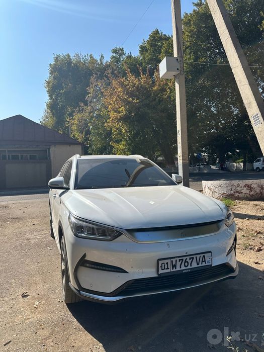 Byd song plus full