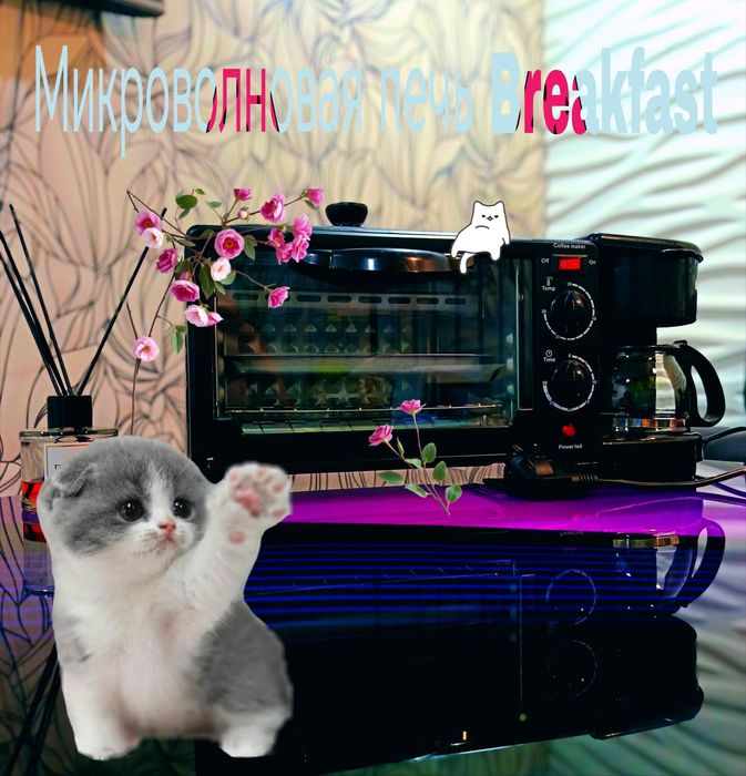 Микроволновая печь "Breakfast maker"