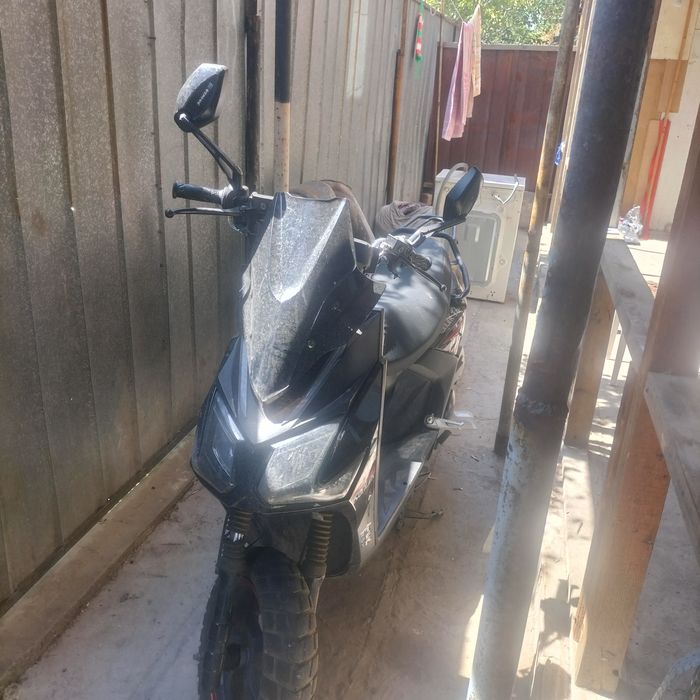 Самурай сонлик 2024