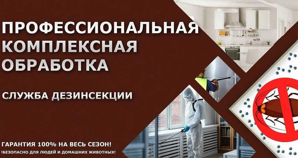 Дезинфекция Dezinfeksiya tarakan klop burga chivin ilon клоп таракан