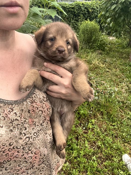 Милашка Тея, 2 мес