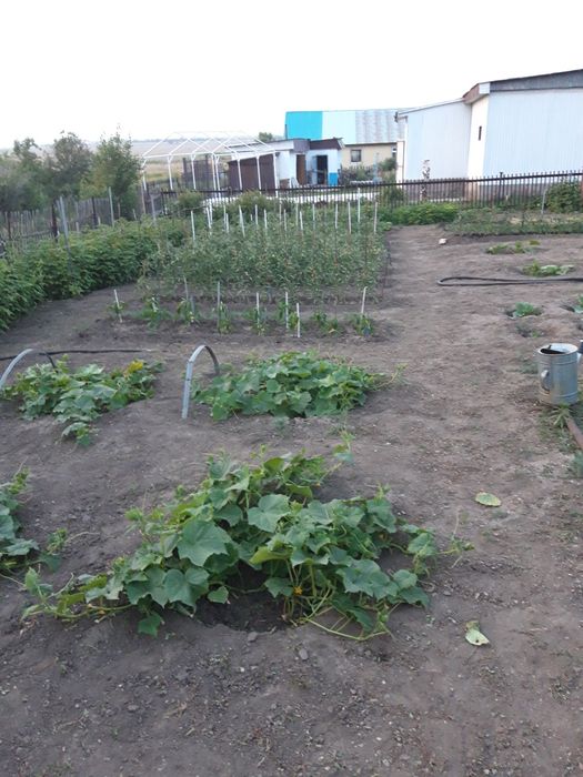 Продам дачу,около Ново-Ахмирово.