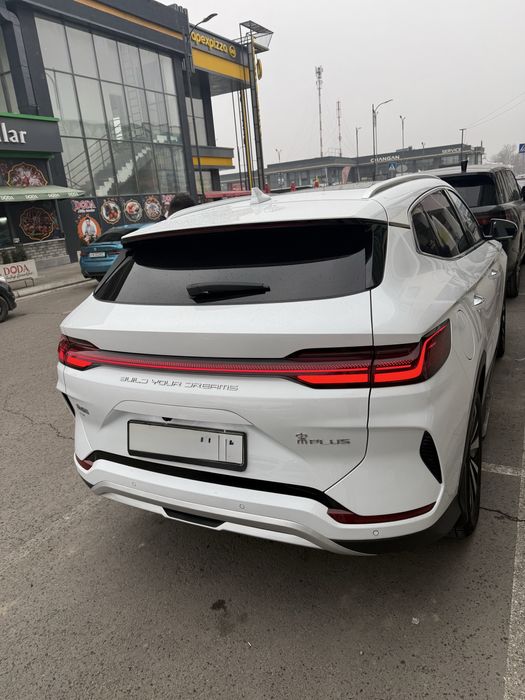 Byd chempion honor srochna