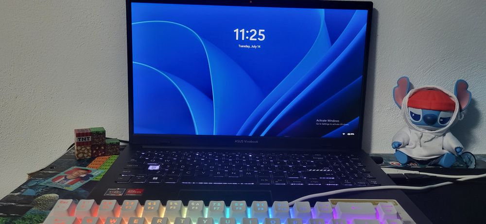 Asus vivobook go 14/15
